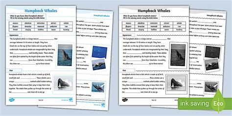 Humpback Whale Cloze Worksheet