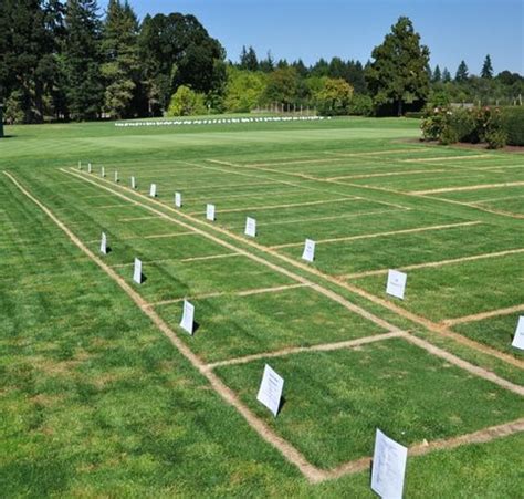 Landbanks - Grand Magnum