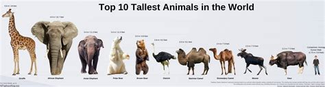 Image result for System.IO Countdown