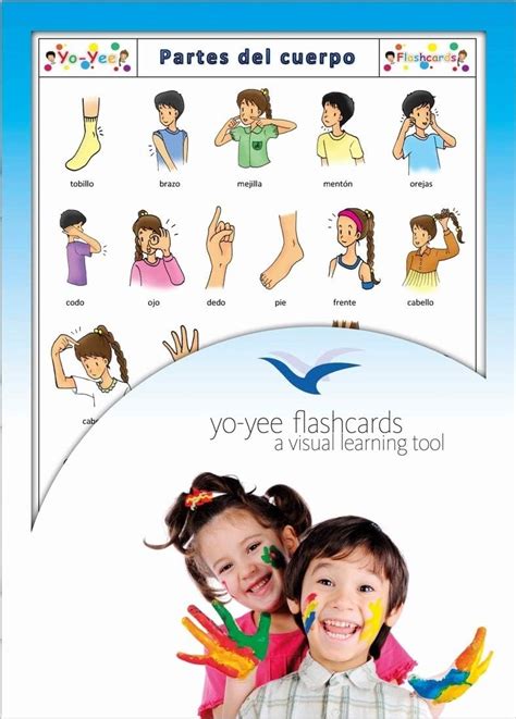 Yo-Yee Flashcards Spanish Body Parts Flashcards - Vocabulary Picture ...