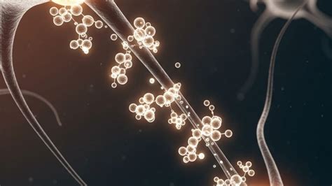 Image result for Prefrontal Cortex Exercises