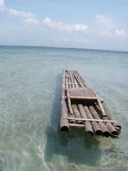 balsa 的图像结果