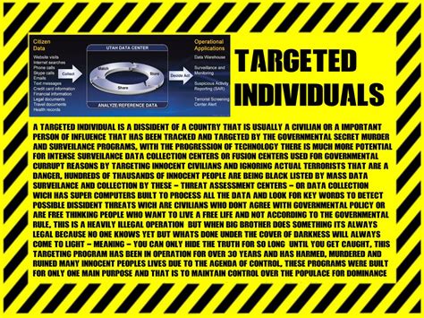 Targeted Individual Program 2020 的图像结果