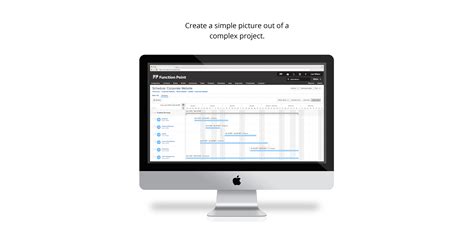 Image result for Function Point Software