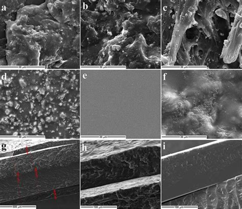 Bacterial Cellulose–Polyvinyl Alcohol Based Complex Composites for ...
