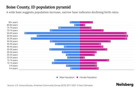 Boise County, ID Population by Age - 2023 Boise County, ID Age ...