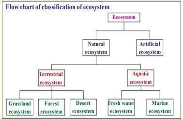 types of ecosystemsnatural and artificialexplain pleaseee (write short ...