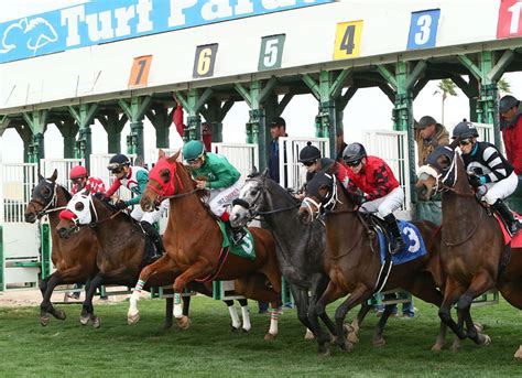 HISA Calls for Delay to Start of Turf Paradise Meet