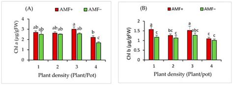 Plants | Special Issue : Ecology and Management of Invasive Plants—2nd ...