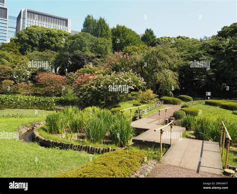 Tokyo, City Trip to Japan’s capital Stock Photo - Alamy