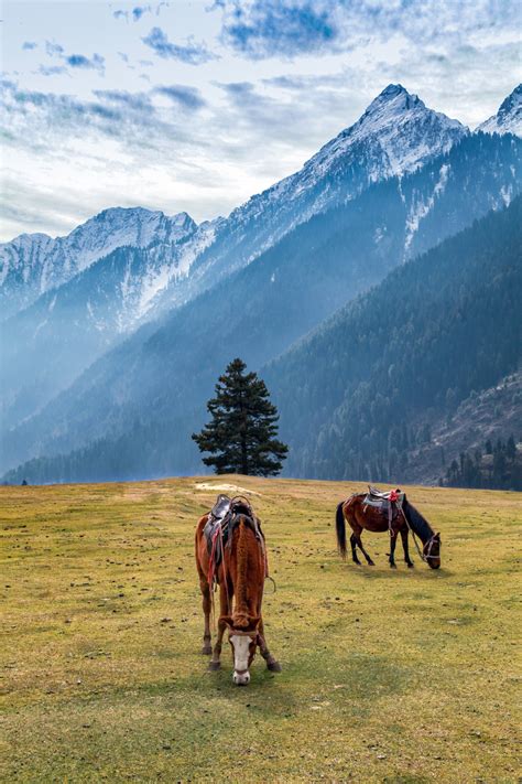 A Kashmir beyond Pahalgam | Condé Nast Traveller India