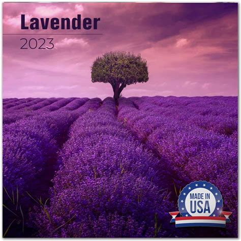 Buy 2022 2023 Lavender Calendar - Garden Flower Calendar - 12 x 24 Open ...
