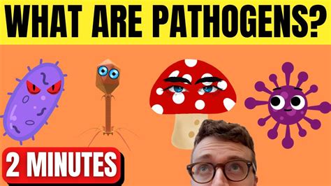 Image result for Pathogen Explanation