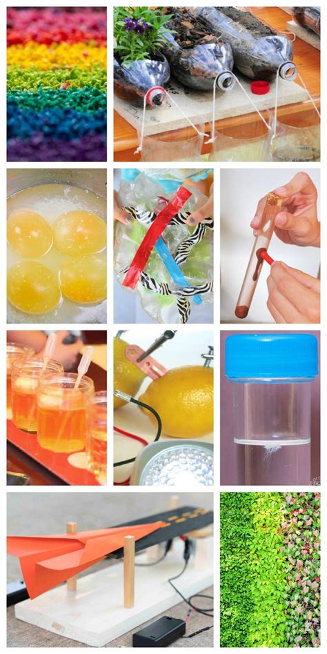 Science Project Ideas 的图像结果