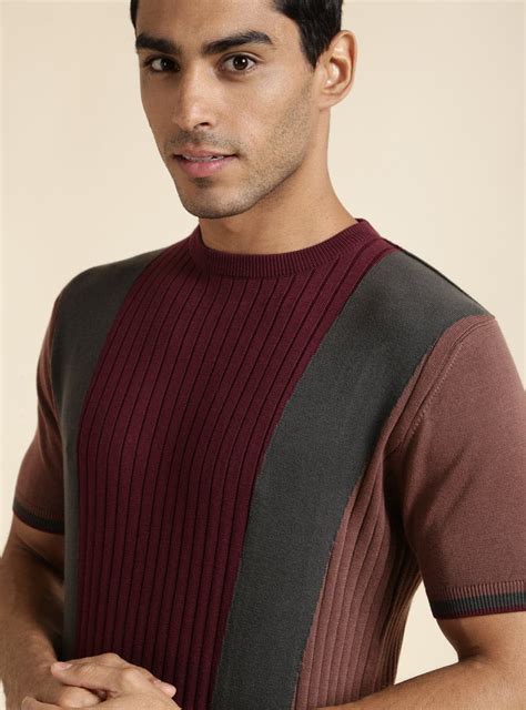 Buy Cinnamon Colour Block Crew | Casual Brown Solid Polos & Tees for ...