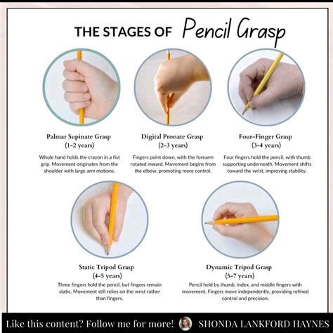 The development of pencil grasping skills follows a typical sequence in ...