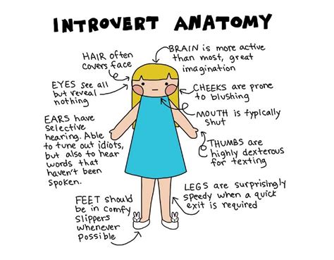 Image result for How Introvert