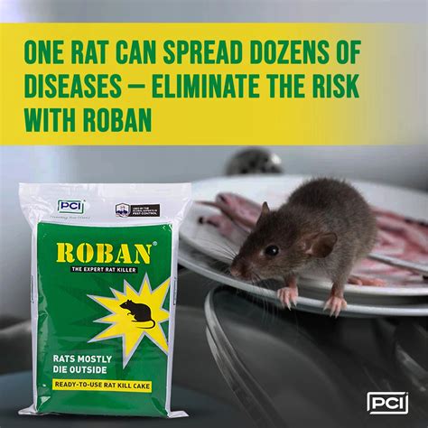 Rodent Cakes | Roban Rat Killer by PCI HiCare