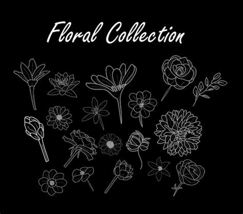 Zarys rysunek Wektory Kwiat ikona tło Kwiatowy Róża wzór logo Zdjęcia ...