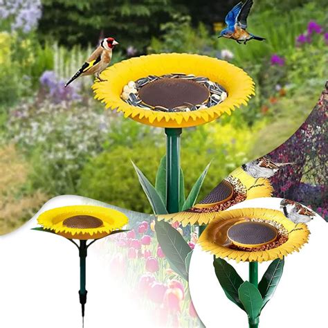 Droll Sunflower Bird Feeder Outdoor Outdoor Sunflower Bird Feeder ...