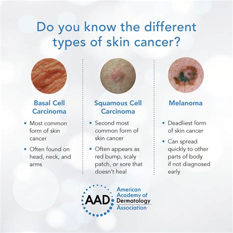 3 Types Of Skin Cancer Cells