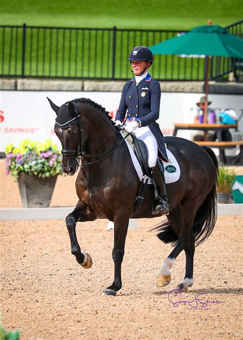 Image result for Tryon Equestrian Center Seating Chart