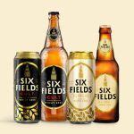 Budget brews: Best Indian beer options under price 150