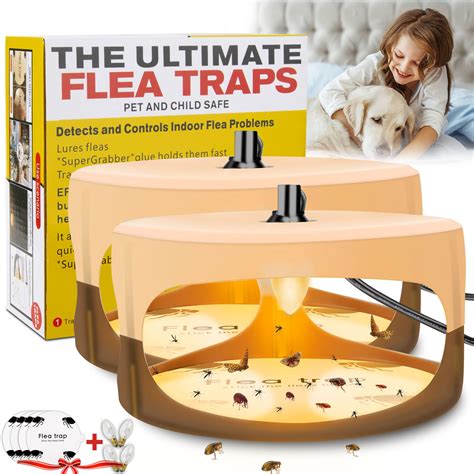 Homemade Flea Traps