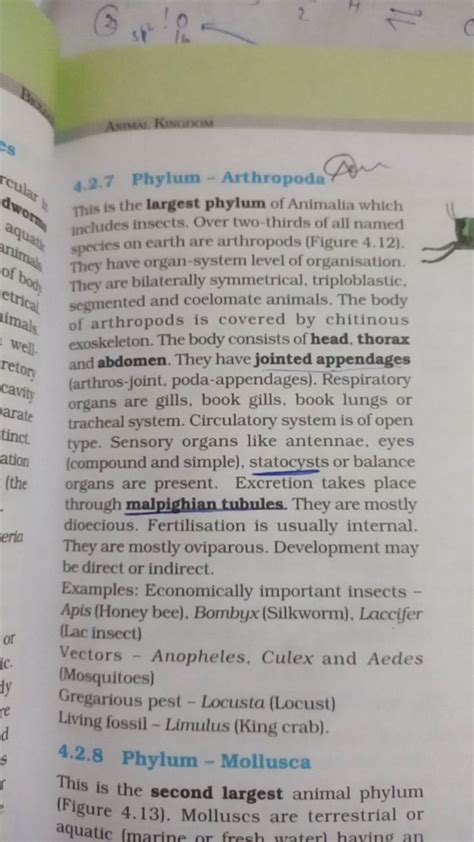 4.2.7 Phylum - Arthropoda This is the largest phylum of Animalia which in..