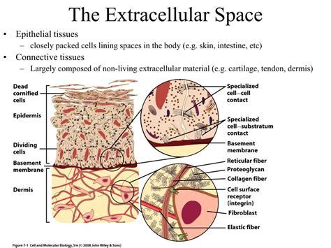Image result for Rectangular Floor Tile Layout Patterns