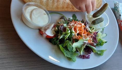 KONINGINNEHOF (2025) All You Need to Know BEFORE You Go (with Photos ...