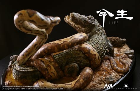 QeenStudios 生命系列-狂蟒巨鳄（完成版）|手工艺|手办/模玩|QueenStudios - 原创作品 - 站酷 (ZCOOL)