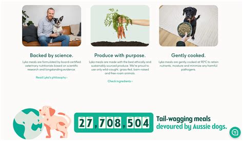 Website Homepage Examples 的图像结果