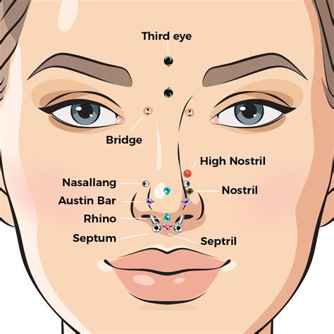 Face Piercings Names And Pictures Ear Piercing Names: Ultimate Guide