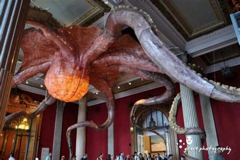 Squid Ink Pasta 的图像结果