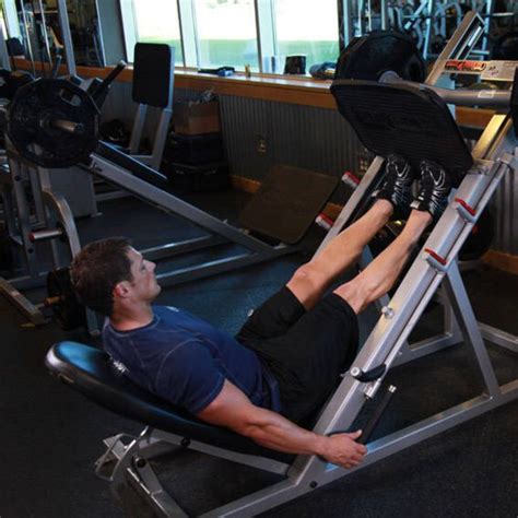 Leg Press Machine Exercise 的图像结果