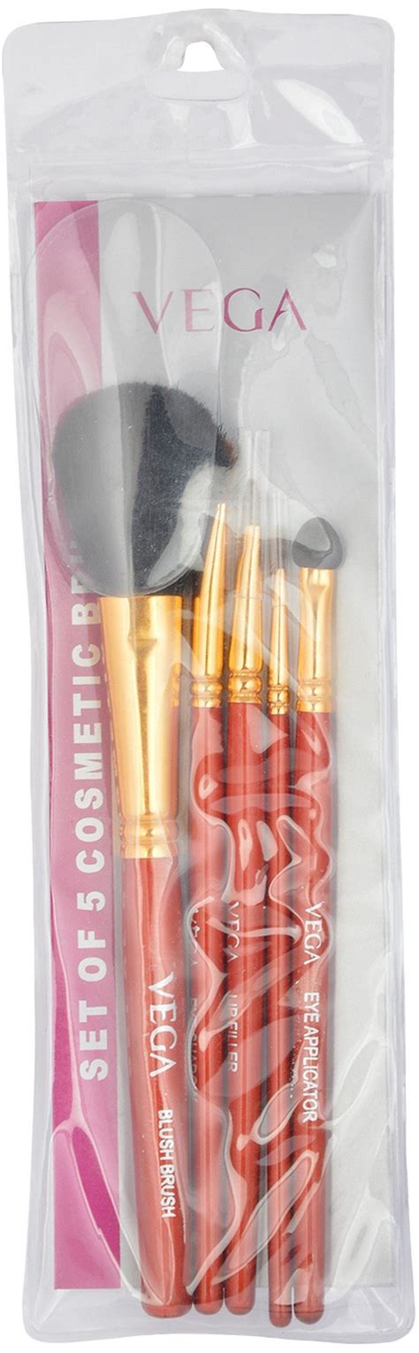 Vega Cosmetic Brush Set - RV05, Multi Color 5 Numbers Pack : Amazon.in ...