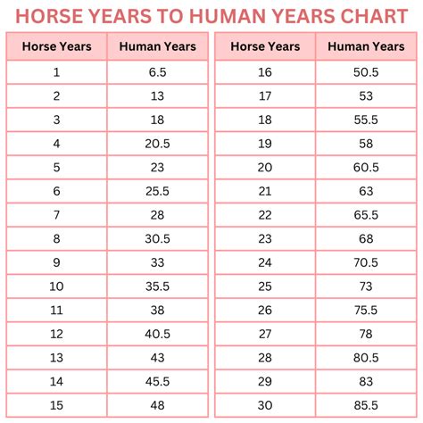 Horse Years to Human Years: Chart and Calculator