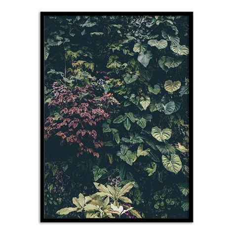 Plant Wall – Calcuttan