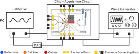 Image result for How to Program Cell Chip