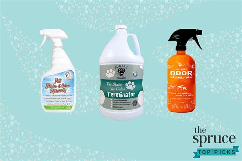 The 8 Best Cat Pee, Odor, and Stain Removers of 2021