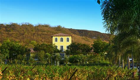 THE SOURCE AT SULA (Nashik, Maharashtra) - Hotel Reviews, Photos, Rate ...