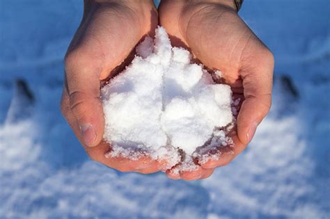 Lesson | Smrt English