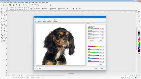 Sign Master Cutter Software 的图像结果