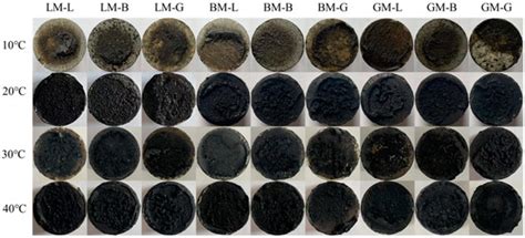 Influence of Filler Type and Rheological Properties of Asphalt Mastic ...