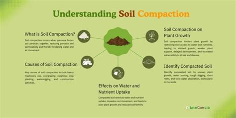 Image result for Natural Compaction