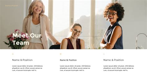 Business Proposal Presentation Examples 的图像结果