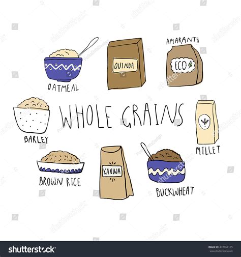 Illustration Healthy Whole Grains Hand Drawn Stock Vector 437164165 - Shutterstock