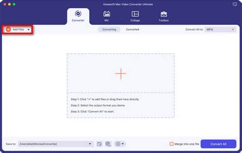 Video File Conversion Tutorial 的图像结果