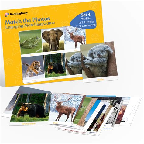 Buy Keeping Busy Match The Photo Game with Fun Facts Set 4 Matching ...